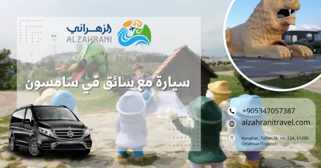 سيارة مع سائق في سامسون